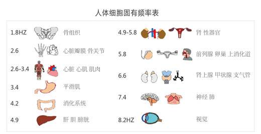 人體細(xì)胞固有頻率表
