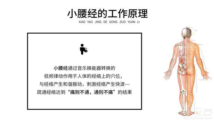 小腰經(jīng)的工作原理