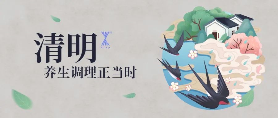 清明時節(jié)雨紛紛 疏通經(jīng)絡(luò)馬上給身體加分！